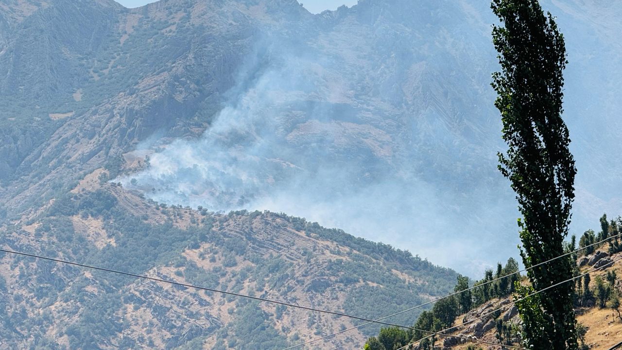 Şırnak’ta orman yangını kontrolden çıktı Şırnak’ta orman yangını kontrolden çıktı