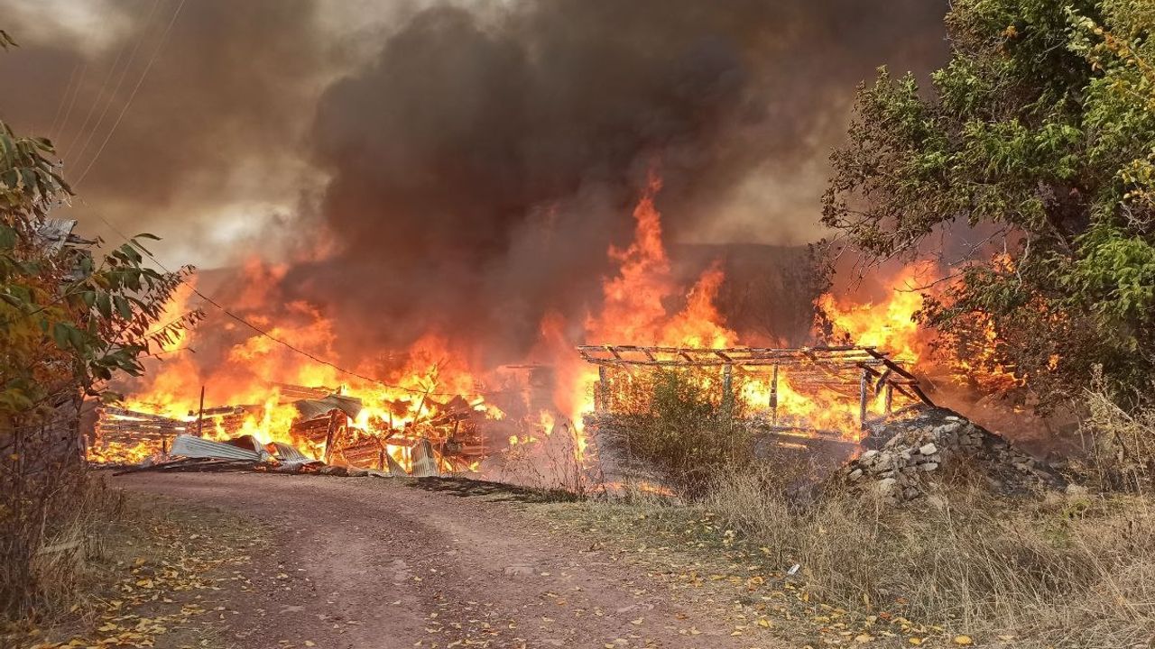 Kastamonu'da dev yangın: 10 köy alevler içinde kaldı