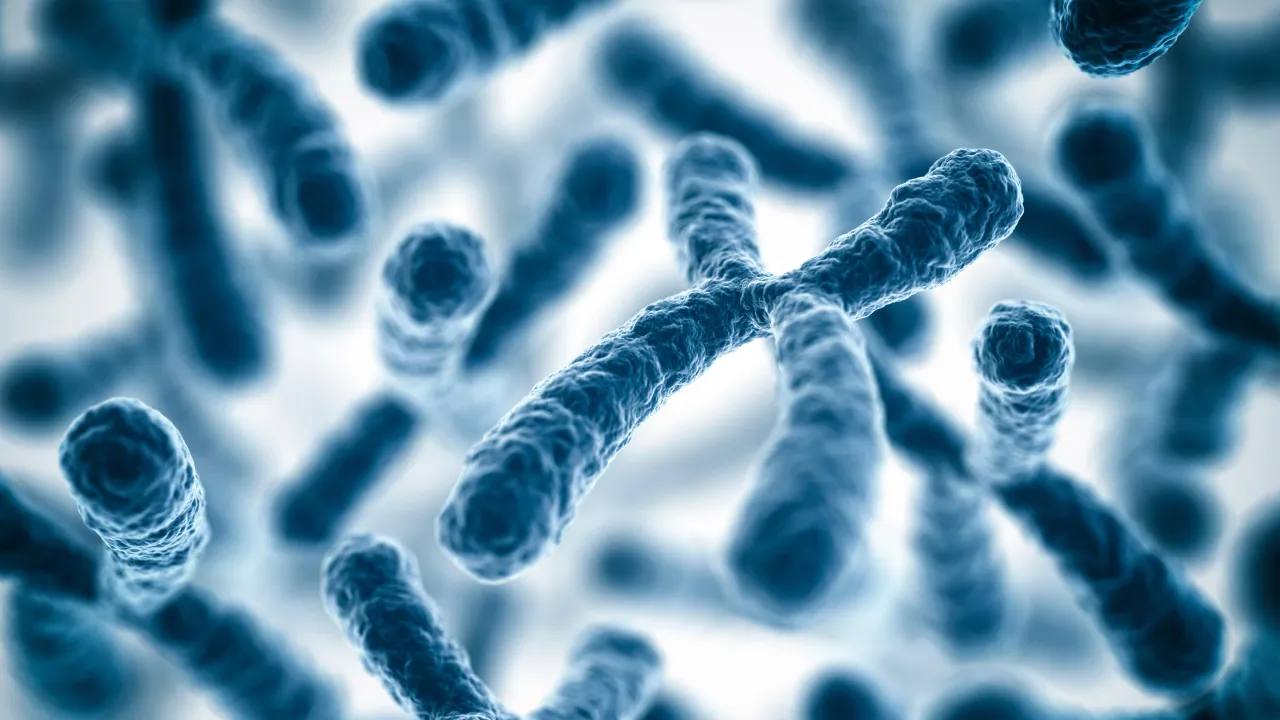 Kromozom bozukluğunu genetik testlerle teşhis etmek mümkün