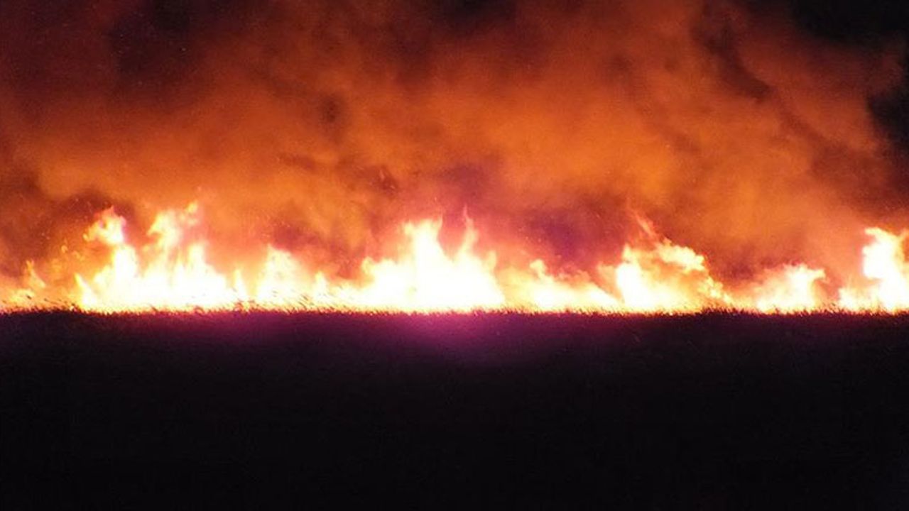 Şili'de çıkan orman yangınlarında 10 kişi hayatını kaybetti