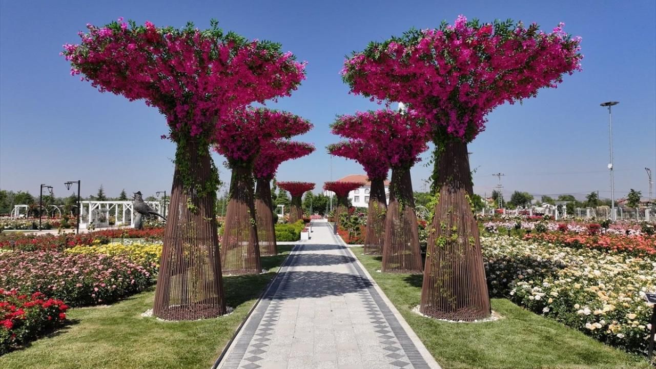 Konya’da 50 bin gülle büyüleyen Karatay Mevlana Gül Parkı