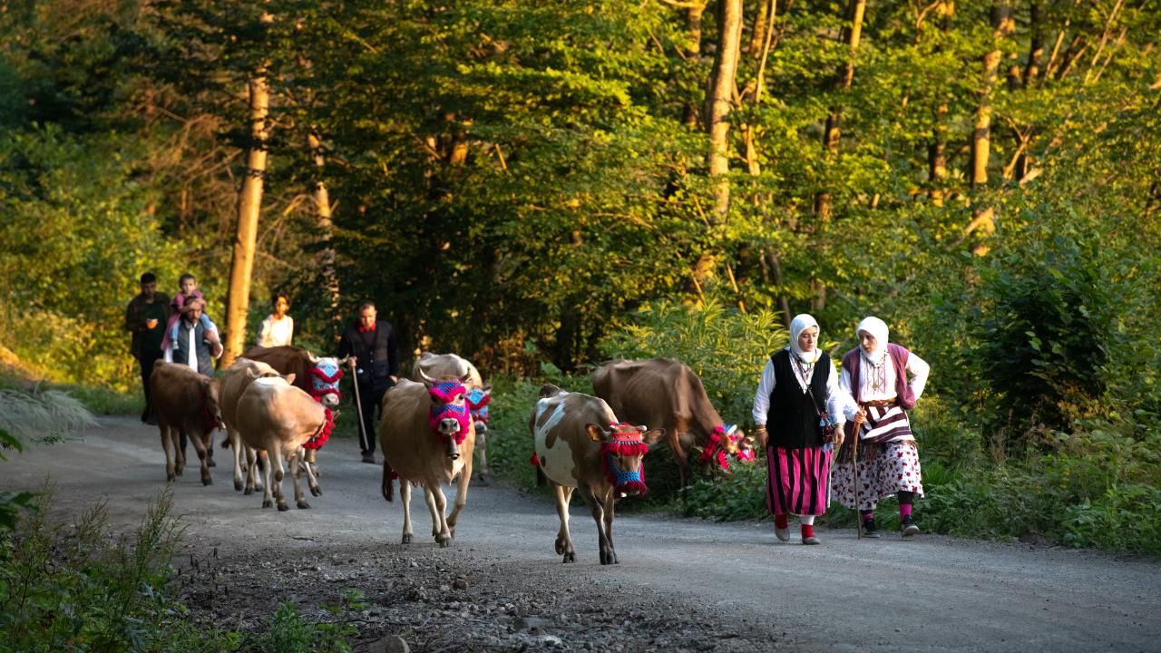 Trabzon’da asırlık yayla göçü başladı