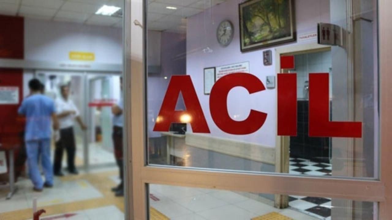 Düzce’de arının soktuğu kadın hayatını kaybetti