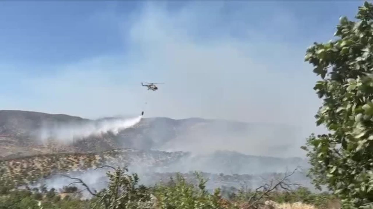Gabar Dağı'ndaki orman ve örtü yangını kontrol altına alındı