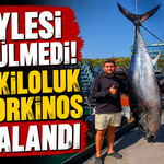 Böylesi Görülmedi! 260 kiloluk dev orkinos yakalandı