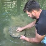 Derelerde her gün 5 gram altın çıkarıyorlar! Türkiye'de altın çok arayan yok...