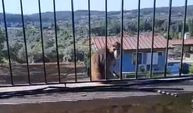Muğla’da maymun yakalama operasyonu