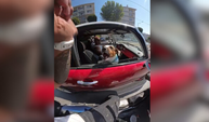 Köpekleri sevmek isteyen sürücü saldırıya uğradı