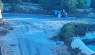Mersin’de köpek motosikletliye saldırıp düşürdü