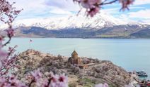 Badem çiçekleri Akdamar Adası’nı süsledi