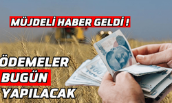 Tarımsal destek ödemesi bugün yapılacak