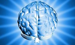 Bilim insanları Alzheimer'ı erken tespit edebilen yapay zeka geliştirdi