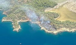 Fethiye'de orman yangını