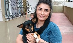 Önce köpeği sonra hamile kadını darp etti