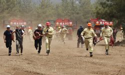 OGM ekipleri yangınlara karşı Ege ve Akdeniz'de teyakkuzda