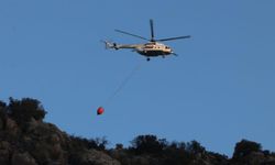 Seydikemer'deki yangın kontrol altında: Bir kişi gözaltına alındı