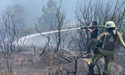 Sultangazi'de ormanlık alanda yangın