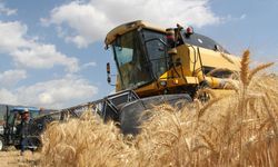 Tarımsal girdi fiyat endeksi ekimde yıllık yüzde 33,66 arttı