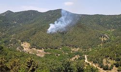 Hatay'daki orman yangını kontrol altına alındı