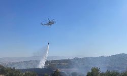 Hatay'da çıkan orman yangınına müdahale ediliyor