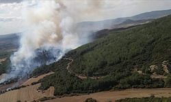 Çanakkale'deki orman yangını kontrol altında