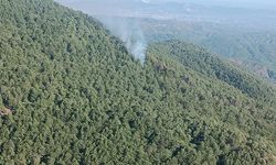 Hatay Samandağ'da orman yangını