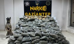 170 kilogram skunk ele geçirildi