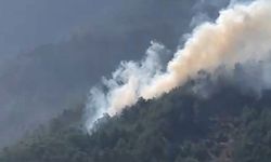 Muğla Köyceğiz’de orman yangını çıktı