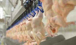 Türkiye Kasaplar Federasyonu Başkanı Yardımcı: Tavuk ucuzlarsa et de ucuzlar