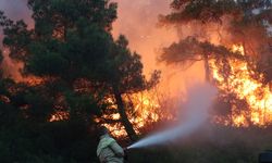 Çanakkale’de orman yangını