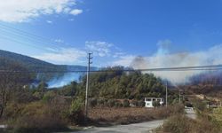 Muğla Yatağan’daki yangın kontrol altına alındı