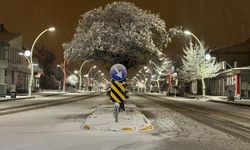 En soğuk gece Bolu'da yaşandı