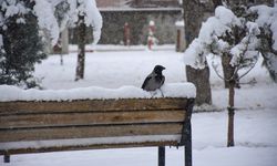 Meteoroloji’den kuvvetli yağış ve kar uyarısı