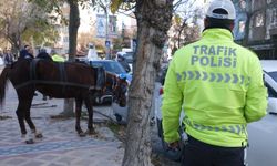 Edirne’de ilginç olay: Başıboş at 5 araca hasar verdi  