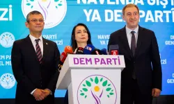 CHP- DEM Parti (HDP) görüşmesinde şok ifadeler: Eş başkan diyesim geldi
