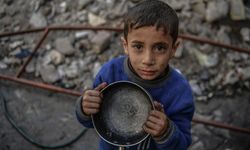 Gazeliler aç ve yiyecek temin etme konusunda çaresiz