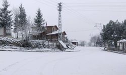 Ordu'da yüksek kesimlere kar yağdı