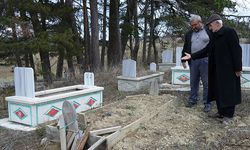 Kastamonu'da kış uykusuna yatamayan ayılar, mezarları kazmaya başladı