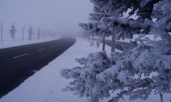 Erzurum'da sıcaklık eksi 24,6'ya kadar düştü