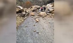 Şırnak-Hakkari kara yolunda heyelan felaketi: Ulaşıma kapandı