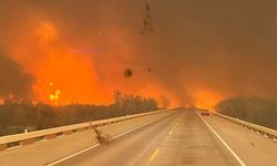 ABD'deki yangınlar nedeniyle 'acil durum' ilan edildi