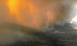 Avustralya'daki orman yangınlarında 14 bin hektar alan kül oldu