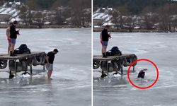 Fotoğraf merakı kötü bitti, buz kırılınca gölete düştü