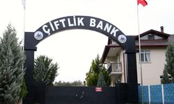 ‘Çiftlik Bank’ davasında bir sanık için tahliye kararı