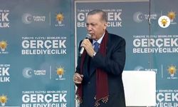 Cumhurbaşkanı Erdoğan: Birileri kendi akıllarıyla milleti kandırmaya çalışıyor