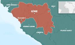 Gine'de hükümet feshedildi