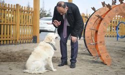 Kahraman köpek Proteo'nun adı Kayseri'de yaşatılacak