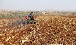 Çiftçilere tarımsal destek ödemesi bugün yapılacak