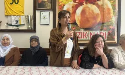DEM Parti İstanbul adayı Meral Danış: Adaylıktan çekilmeyeceğim