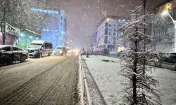 Hakkari'de kar yağışı etkili oldu